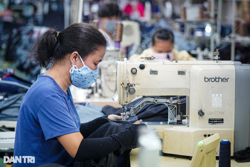 Nhiều doanh nghiệp chỉ còn 1 lao động, nợ bảo hiểm tiền tỷ - 1 Nhiều doanh nghiệp chỉ còn 1 lao động, nợ bảo hiểm tiền tỷ - 1