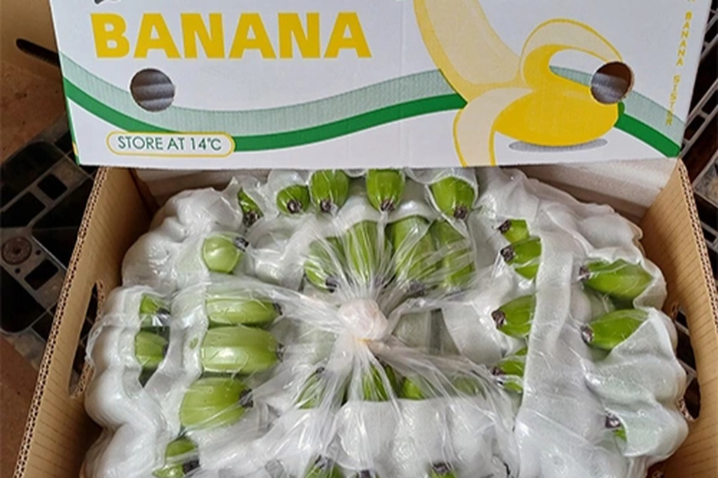 Hoàng Anh Gia Lai bị phạt và truy thu thuế gần 1 tỷ đồng - 1