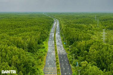Tuyến đường 6 làn băng rừng già vươn ra biển lớn của TPHCM