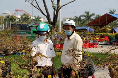 Giá hoa giảm, người trồng hoa vẫn mỏi mắt chờ "thượng đế"