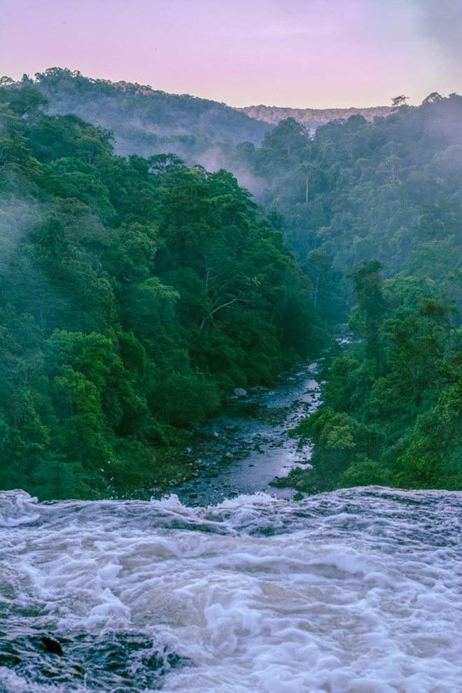 Đi tìm nàng công chúa ngủ trong rừng: Hành trình dành cho người bản lĩnh! - 21 Đi tìm nàng công chúa ngủ trong rừng: Hành trình dành cho người bản lĩnh! - 21