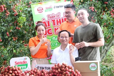 Từ livestream bán vải đến 4.000 tỷ thương mại điện tử, chuyển mình từ những cán bộ "dám làm"