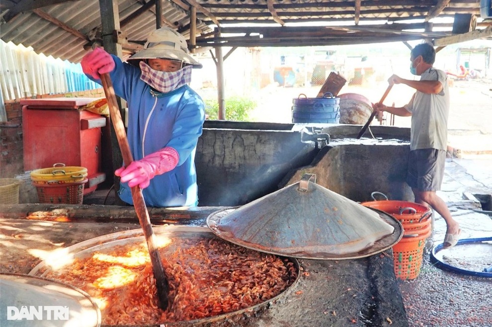 Cụ bà 70 nuôi cả nhà, cả họ nhờ nghề làm tôm khô truyền thống - 3 Cụ bà 70 nuôi cả nhà, cả họ nhờ nghề làm tôm khô truyền thống - 3