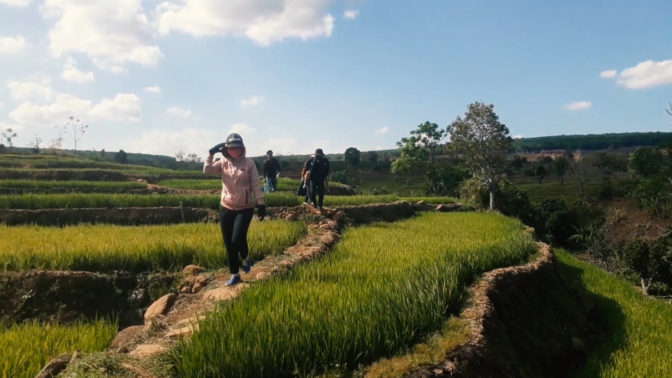 Gia Lai: “Mê mẩn” vẻ đẹp của ruộng bậc thang - 4 Gia Lai: “Mê mẩn” vẻ đẹp của ruộng bậc thang - 4