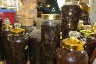 Hà Nội: Trồng cây thuốc phiện để... ngâm rượu