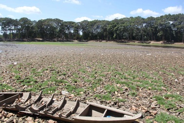 Ao nổi tiếng miền Tây cạn trơ đáy, du khách sững sờ