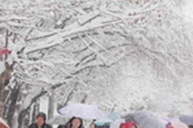 Chùm ảnh: Tuyết tấn công Trung Quốc