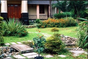 Cây và nước trong góc nhìn về phong thủy nhà ở