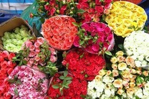 Hoa hồng tăng giá sốc vẫn "cháy" hàng dịp lễ Valentine