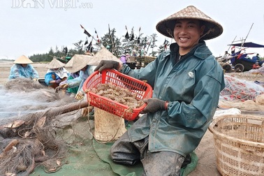 Nam Định: Ra biển kéo lưới trúng đậm tôm "hung dữ" toàn con to bự