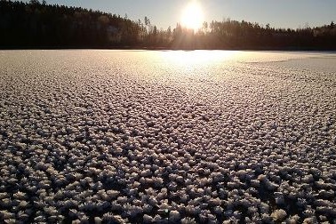 Lạc vào thiên đường “hoa tuyết” ở Phần Lan