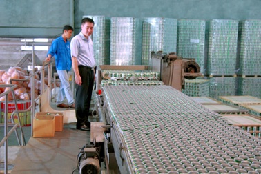 Cận cảnh chuỗi dây chuyền chiết lon và đóng hộp tự động công suất 50.000 lon/giờ