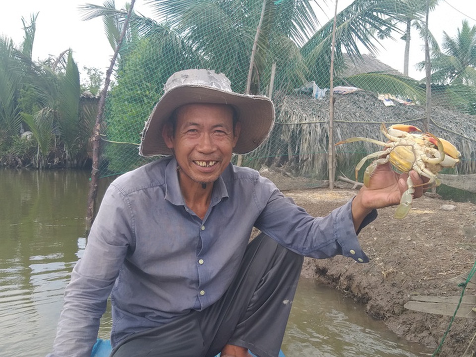 Giá cua gạch ngon nhất miền Tây nhảy múa 800.000 đồng/kg trước 30/4 - 1/5 - 1 Giá cua gạch ngon nhất miền Tây nhảy múa 800.000 đồng/kg trước 30/4 - 1/5 - 1