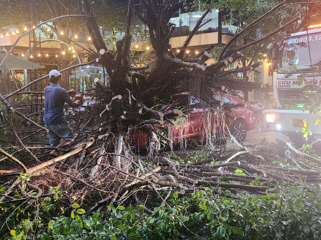 Cây lớn đè ngang ô tô sau cơn mưa lớn ở TP Thủ Đức - 1 Cây lớn đè ngang ô tô sau cơn mưa lớn ở TP Thủ Đức - 1