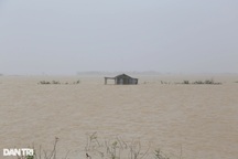 Từ nhà mẹ trở về, người phụ nữ bị nước lũ cuốn tử vong