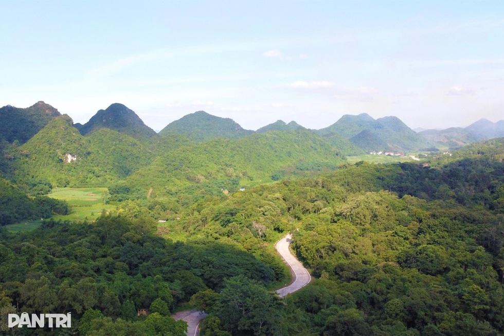 Nguy hiểm của “đi vào rừng một mình không có rủ ai” - 1