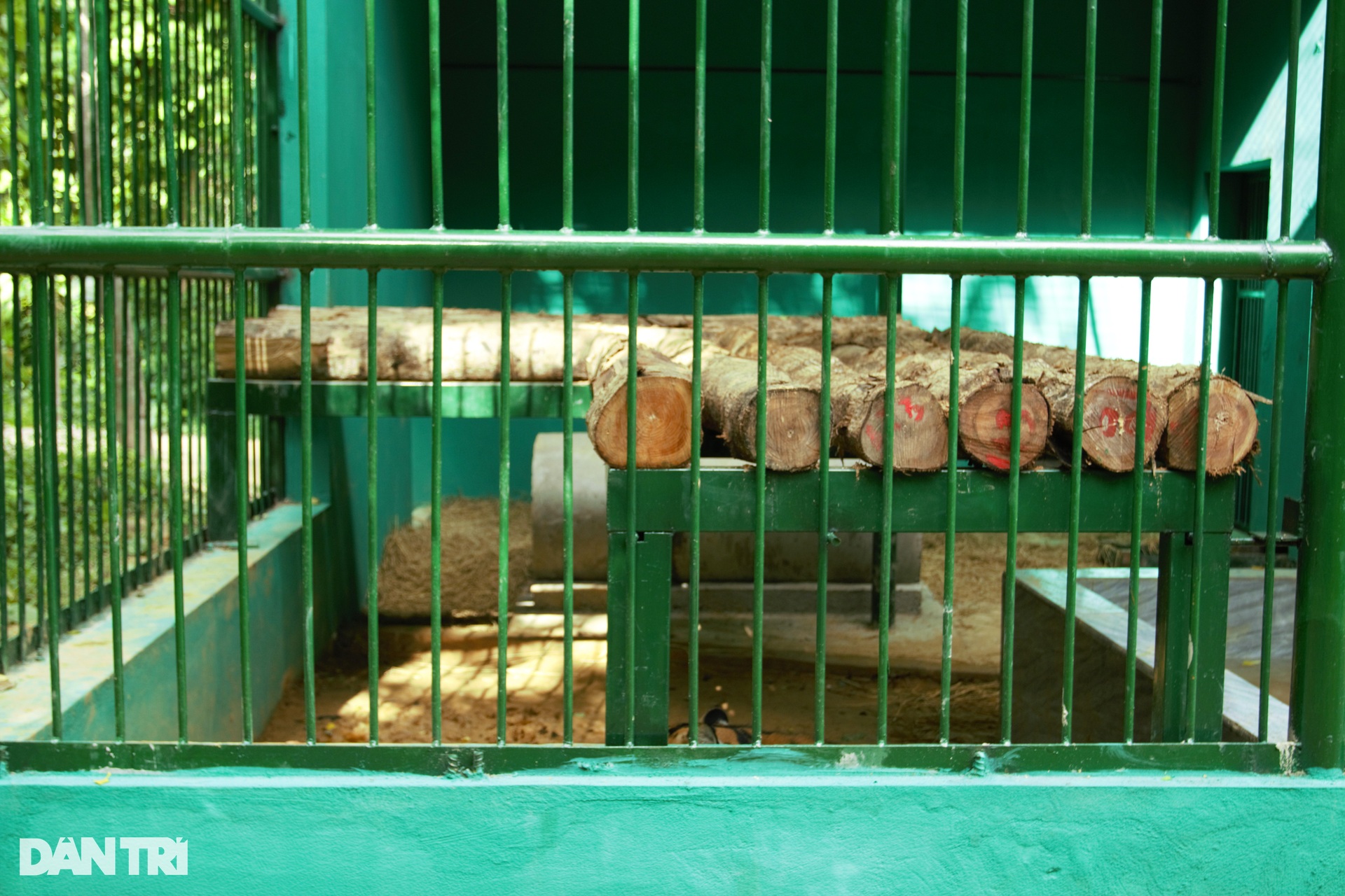 Ngôi nhà mới của 7 chú hổ giữa rừng nguyên sinh Phong Nha - Kẻ Bàng - 11 Ngôi nhà mới của 7 chú hổ giữa rừng nguyên sinh Phong Nha - Kẻ Bàng - 11