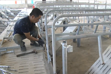 Tháo dỡ trại heo “khủng” xây dựng trái phép bên hồ Trị An