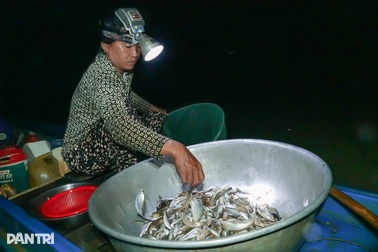 Trắng đêm săn "lộc trời" kiếm gần triệu bạc mỗi ngày