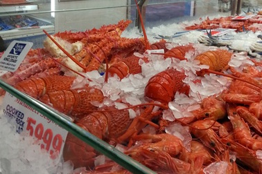 Tôi đi chợ cá Sydney!