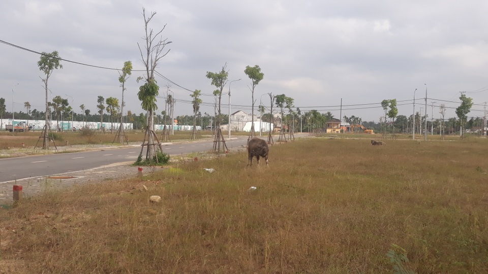 Quảng Ngãi: Lo ngại người dân bị lừa đảo khi mua đất nền - 2 Quảng Ngãi: Lo ngại người dân bị lừa đảo khi mua đất nền - 2