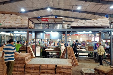 Công ty Minh Long đưa vào vận hành nhà máy sản xuất ván ép hiện đại