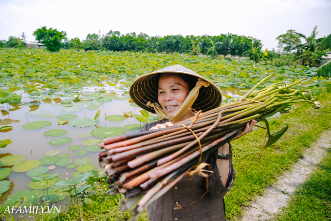 Người phụ nữ chân quê ngoại thành Hà Nội với biệt tài "bắt sen nhả tơ", làm nên chiếc khăn giá chẳng kém gì hàng hiệu nổi tiếng - Ảnh 3.