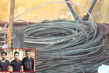 Nhóm đối tượng cả gan cắt trộm cả tấn dây điện trung thế