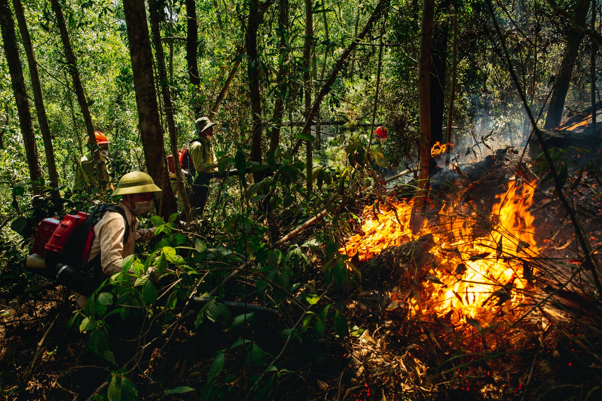 Bộ ảnh chữa cháy cảng cá ở Đà Nẵng giành giải Nhất cuộc thi Ảnh PCCCCNCH - 12