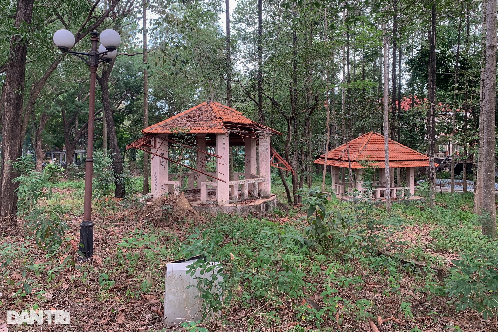 Cảnh hoang tàn, nhếch nhác ở công viên lớn nhất Bình Dương - 4 Cảnh hoang tàn, nhếch nhác ở công viên lớn nhất Bình Dương - 4