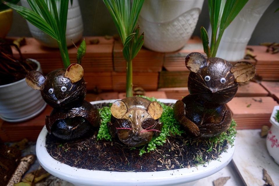 Bonsai hình chuột.jpg Bonsai hình chuột.jpg