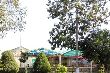 Đám cưới ồn ào trong Huyện đội