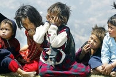 Cưới 7 bà vợ mới “kiếm” được quý tử