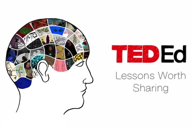 “Tuyệt tác kiến trúc” ẩn trong kết cấu lỗ 6 cạnh của tổ ong.