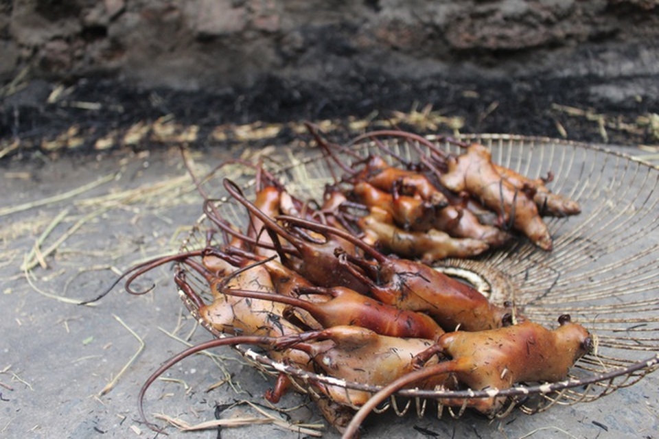 Theo chân “cao thủ” ở Hà Nội săn chuột đồng đêm chỉ bằng... đèn pin - 10 Theo chân “cao thủ” ở Hà Nội săn chuột đồng đêm chỉ bằng... đèn pin - 10