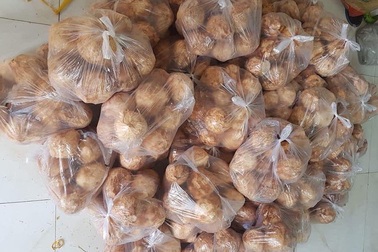 Ngày bán 5.000 quả dừa tí hon, hàng lạ gây sốt ngày nắng cháy