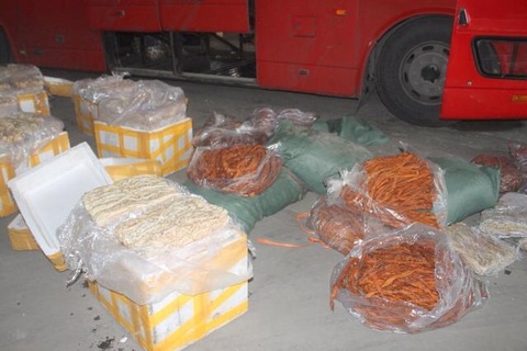 Bắt 1 tấn lòng bẩn dùng để chế biến xúc xích