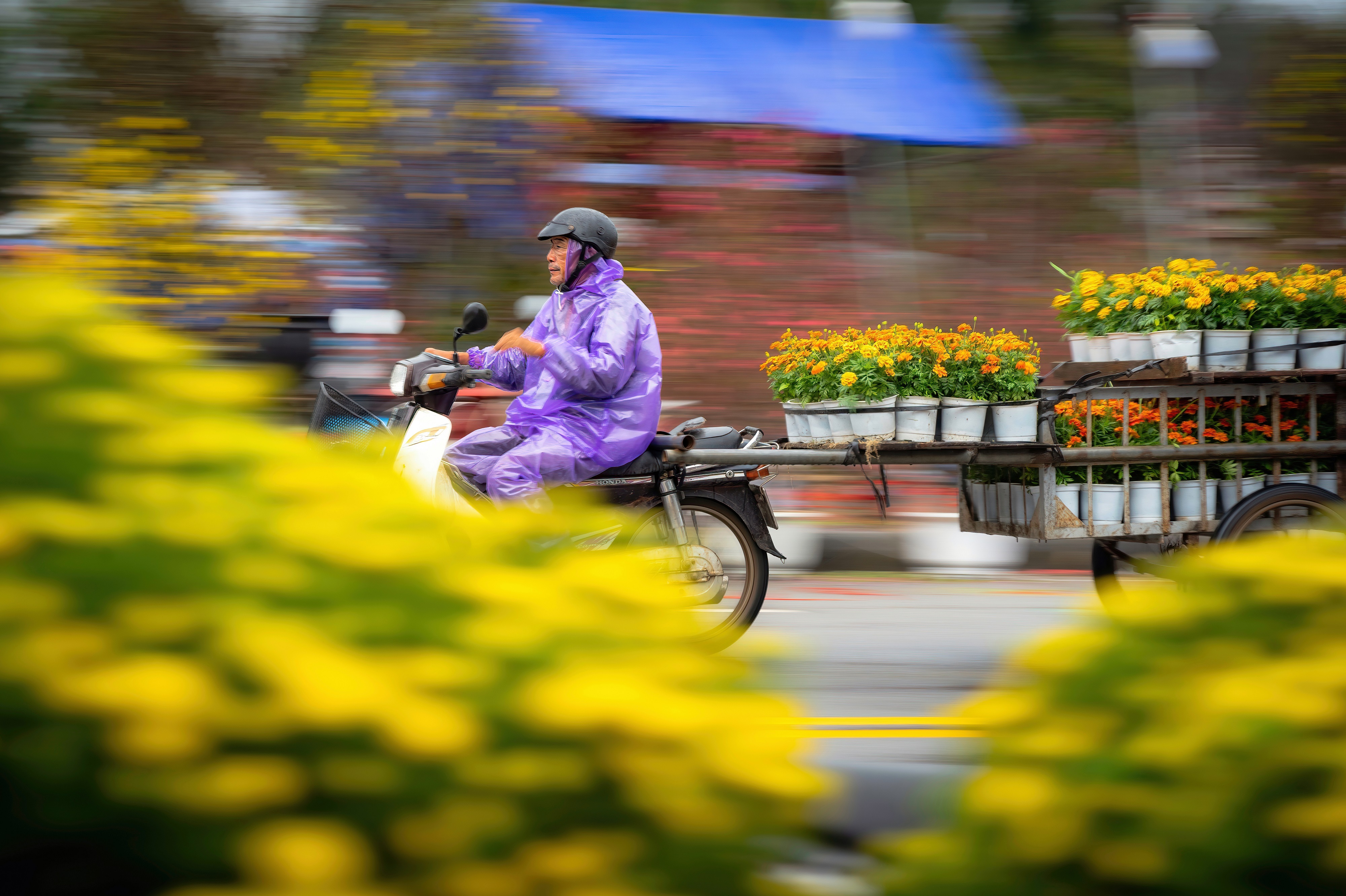 Nghề "chở Tết về nhà"