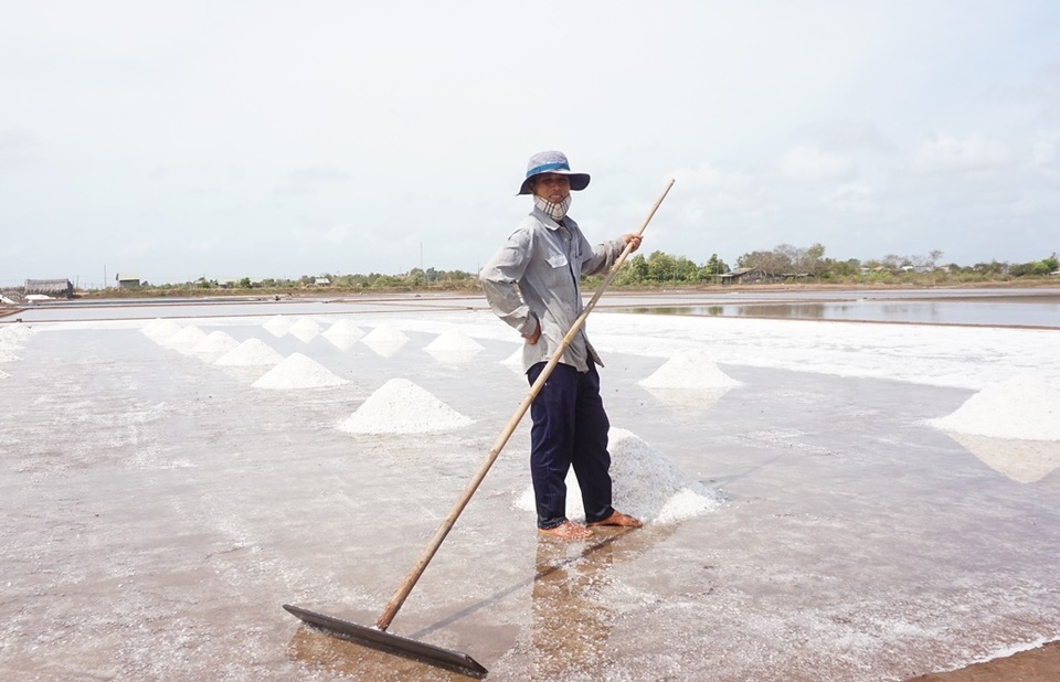 Bến Tre: Mất mùa, mồ hôi của diêm dân mặn hơn muối - 3