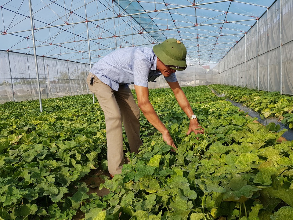 Gắn đào tạo nghề với giải quyết việc làm tại chỗ cho lao động nông thôn - 4 Gắn đào tạo nghề với giải quyết việc làm tại chỗ cho lao động nông thôn - 4