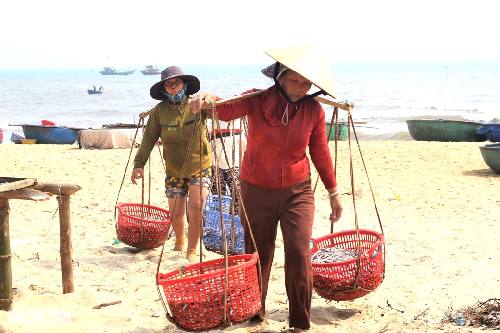 Những phu cá oằn lưng, mỏi gối gánh cá thuê dưới trời nắng gắt - 4 Những phu cá oằn lưng, mỏi gối gánh cá thuê dưới trời nắng gắt - 4
