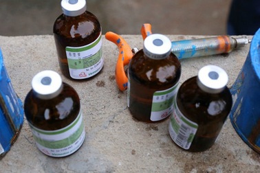 Xử phạt người tiêm thuốc ‘có nguy cơ gây ung thư tủy’ vào heo