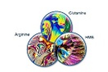 Dinh dưỡng dược – Khái niệm mới trong điều trị