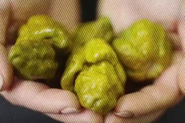 Ớt “tử thần” cay nhất thế giới, bé xíu nhưng cay nóng đến “điên rồ”