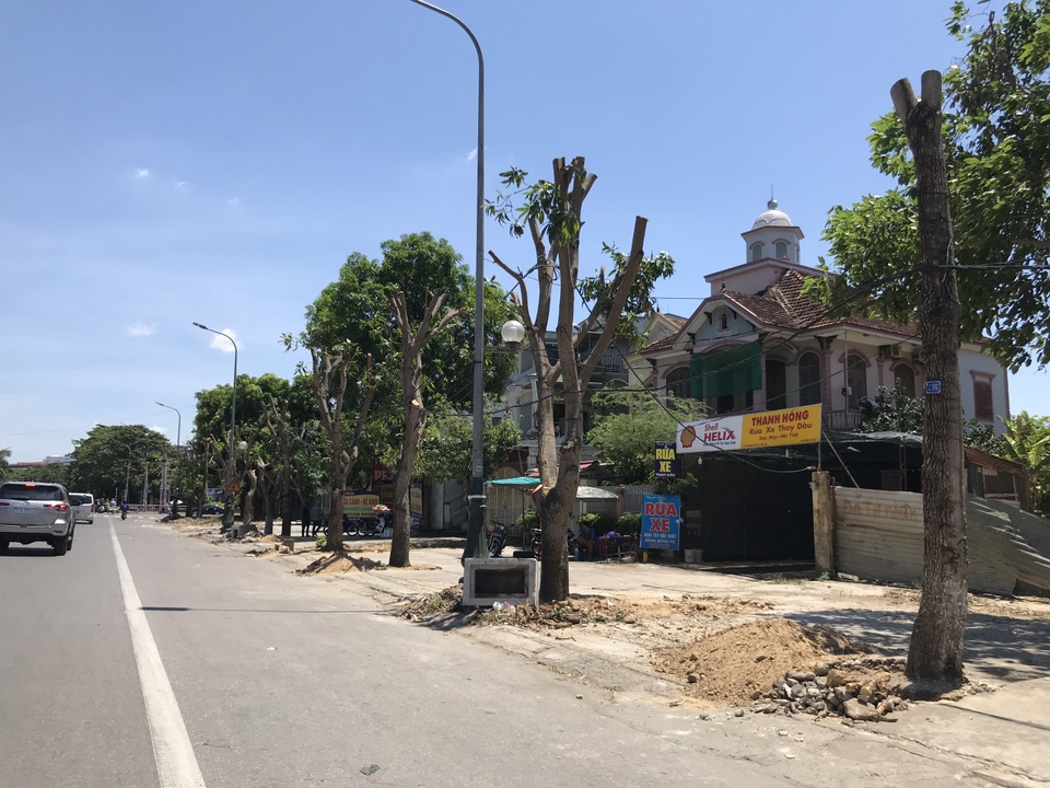 Hàng cây xanh bị cắt cụt ngọn trong những ngày nắng nóng đỉnh điểm - 7 Hàng cây xanh bị cắt cụt ngọn trong những ngày nắng nóng đỉnh điểm - 7