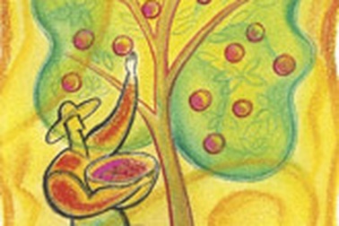 Câu chuyện cây táo