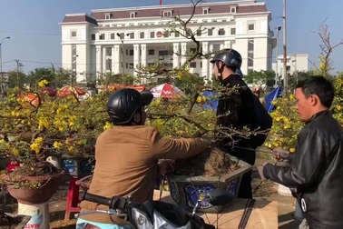 Hội chợ hoa xuân Đà Nẵng 29 Tết vẫn còn bạt ngàn hoa cây cảnh