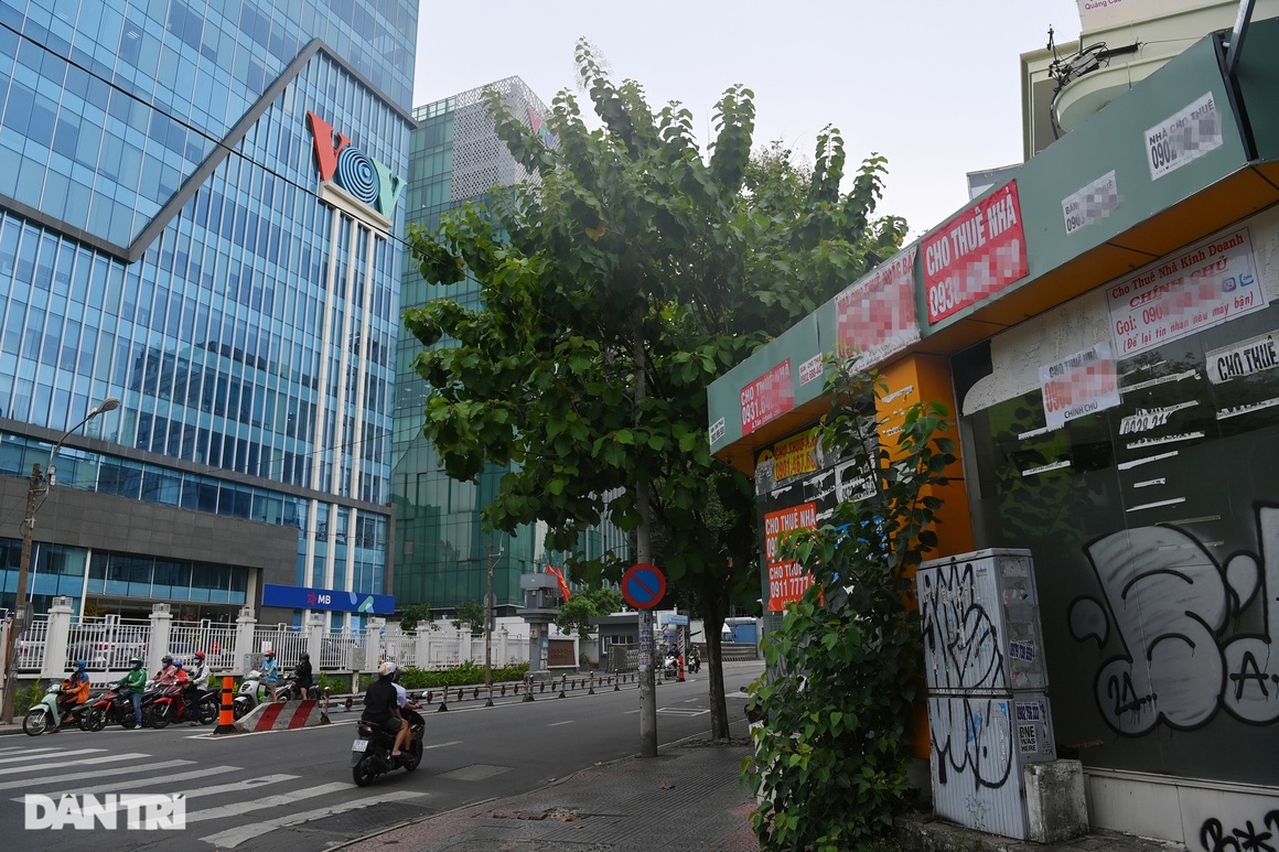 Tràn ngập biển cho thuê, bán nhà trên các tuyến phố trung tâm Sài Gòn - 23 Tràn ngập biển cho thuê, bán nhà trên các tuyến phố trung tâm Sài Gòn - 23