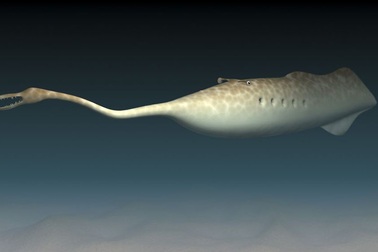 Bí ẩn quái vật kì dị bậc nhất lịch sử Trái đất khi không thể xác định thuộc loài nào