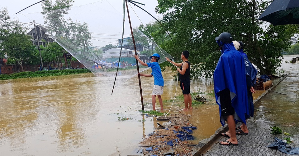Người dân trú trên gác mái, cho lợn lên giường tránh lũ - 18 Người dân trú trên gác mái, cho lợn lên giường tránh lũ - 18